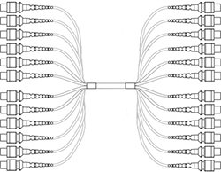 144 fiber cable assembly