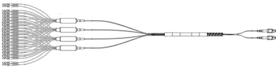 2 x 24 MTP Connectors to 48 Simplex Connectors