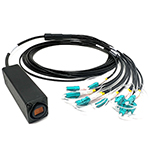 12 Fiber Broadcast Tactical Multimode OM3 50/125 Neutrik OpticalCon MTP Breakout Box Cable Assembly with Waterproof Female IP65 Rated Inline MTP Coupler to 12 Simplex Connectors  - Made in the USA by QuickTreX®