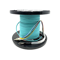 2 Strand Fiber Optic Assembly