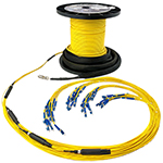 144 Strand Indoor Plenum Rated Singlemode Pre-Terminated Fiber Optic Micro-Distribution Cable Assembly with Corning® Glass - Made in the USA by QuickTreX®