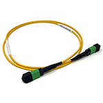 Stock 1 Meter 12 Fiber (1 X 12) MPO APC Female to MPO APC Female Singlemode OFNR Riser Rated Fiber Optic Patch Cable - Method B Fully Flipped