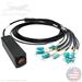 12 Fiber Broadcast Tactical Multimode OM3 50/125 Neutrik OpticalCon MTP Breakout Box Cable Assembly with Waterproof Female IP65 Rated Inline MTP Coupler to 12 Simplex Connectors  - Made in the USA by QuickTreX®
