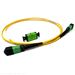 12 Fiber Singlemode (1 X 12) MPO/MTP Gender Changing Kit for Changing MPO/MTP Female (No Pins) to Male (Pins) - Includes 1 Meter 12 Fiber MPO APC Male to Male Riser Rated Method A Cable and MPO/MTP Coupler